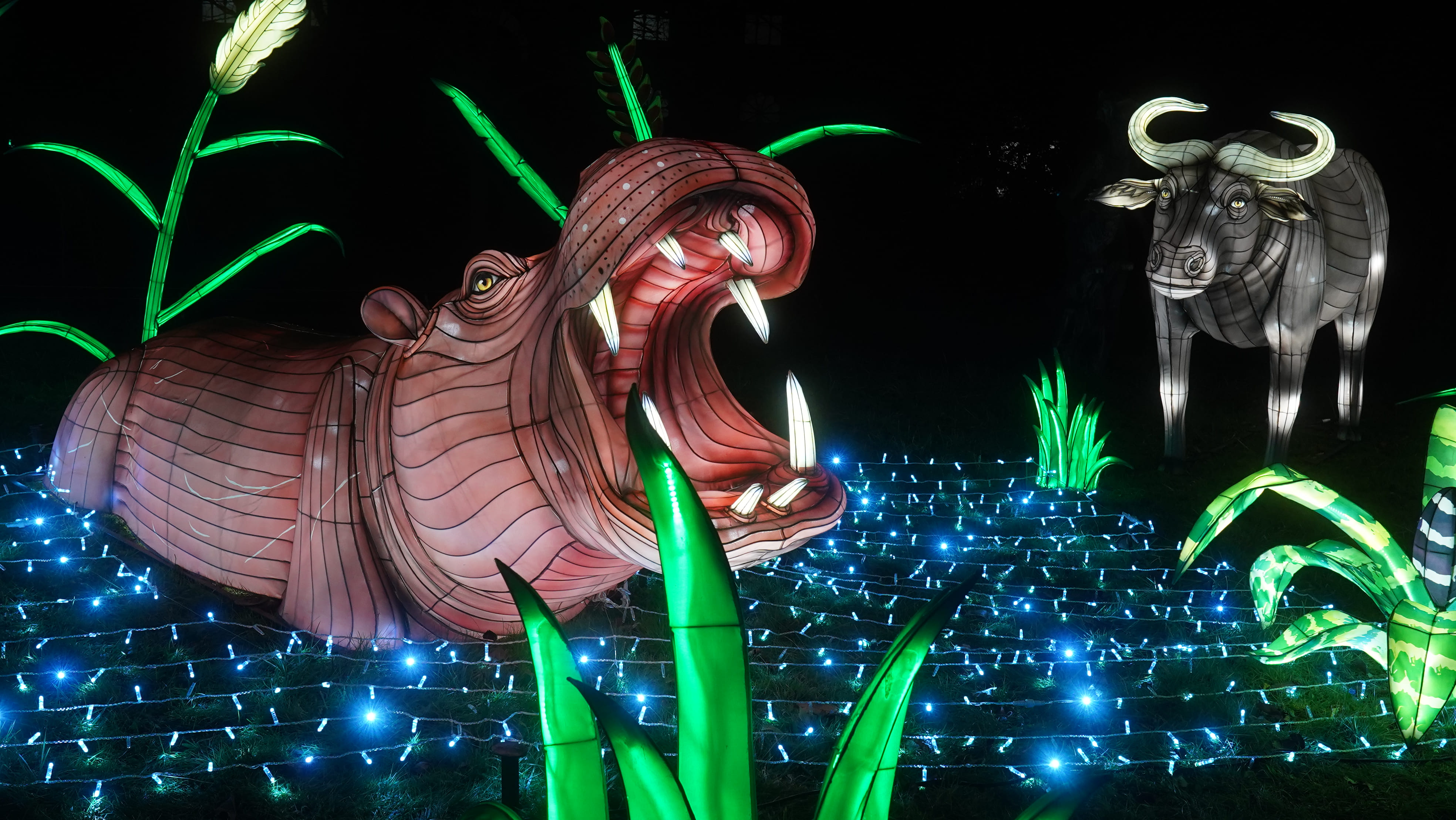 Zoo de la Barben - Le festival des Lumières au parc animalier de la Barben