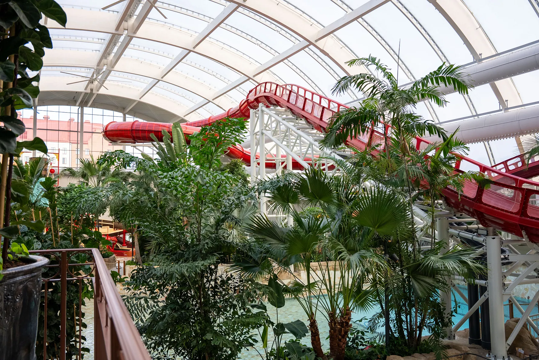 Liseberg Oceania - Voici à quoi ressemblera Oceana – arbres et eau prennent place dans le nouvel univers aquatique de Liseberg