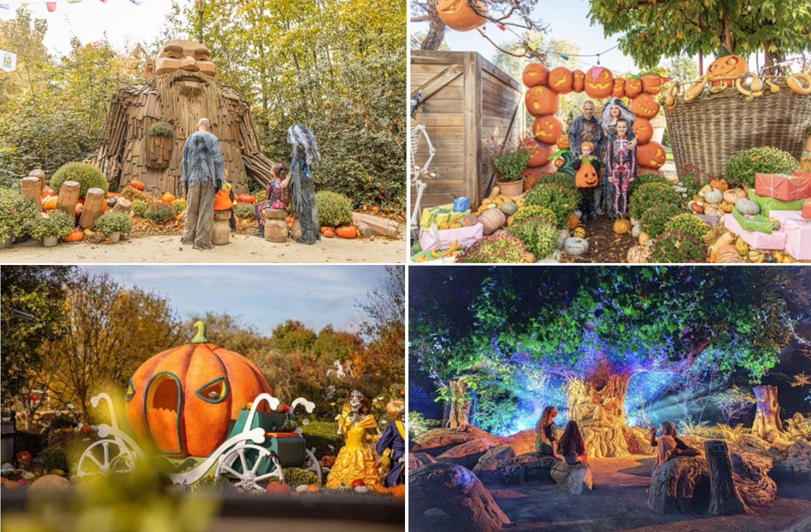 Terra Botanica - La Fête de l’Automne de retour à Terra Botanica du 3 octobre au 1er novembre avec de mystérieux « citrouillards » et chaque soir la nocturne Terra Nocta