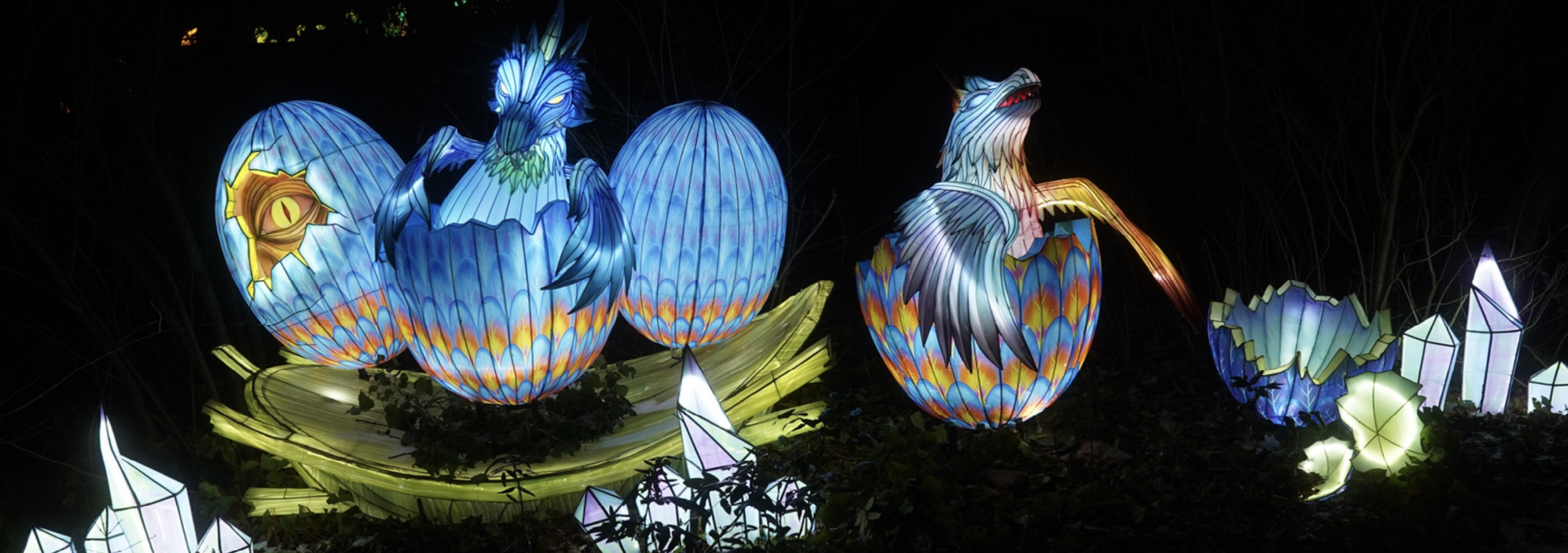 Zoo Lumigny Safari - Ouverture du Lumigny Safari de Lumières