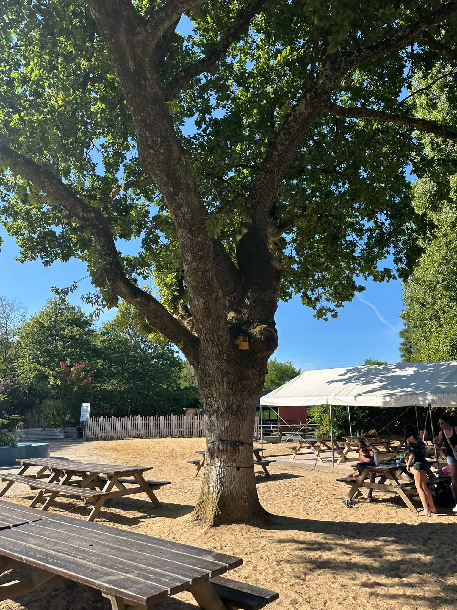 Parc des Naudières - Le Parc des Naudières (44) labellisé « Divertissement Durable » par le SNELAC