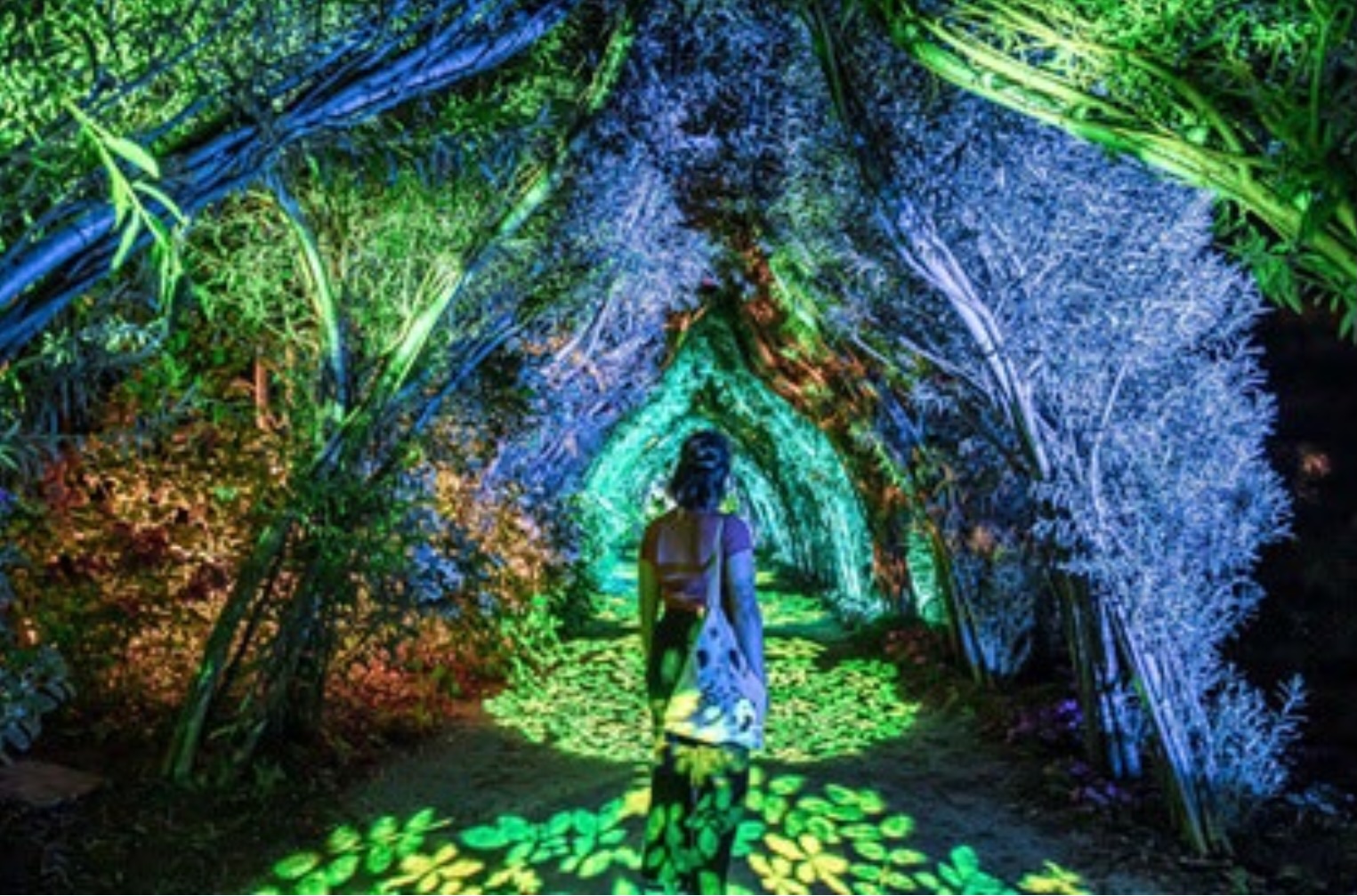 Terra Botanica - La Fête de l’Automne de retour à Terra Botanica du 3 octobre au 1er novembre avec de mystérieux « citrouillards » et chaque soir la nocturne Terra Nocta