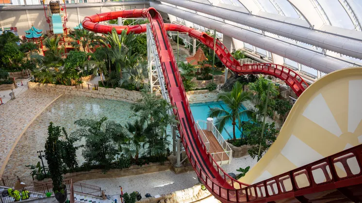 Liseberg Oceania - Voici à quoi ressemblera Oceana – arbres et eau prennent place dans le nouvel univers aquatique de Liseberg